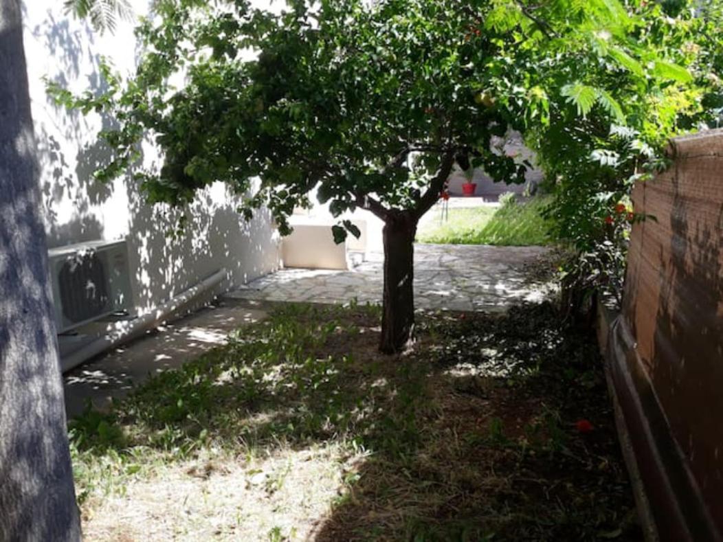 Le Galli En Plein Coeur De Sanary Exterior foto